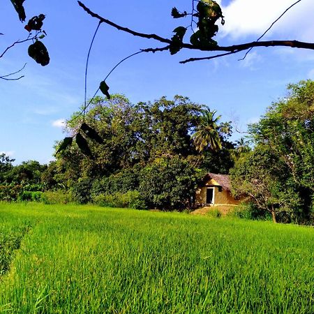 Raintree Villa Dambulla Eksteriør bilde