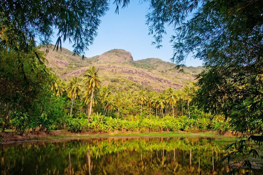 Raintree Villa Dambulla Eksteriør bilde