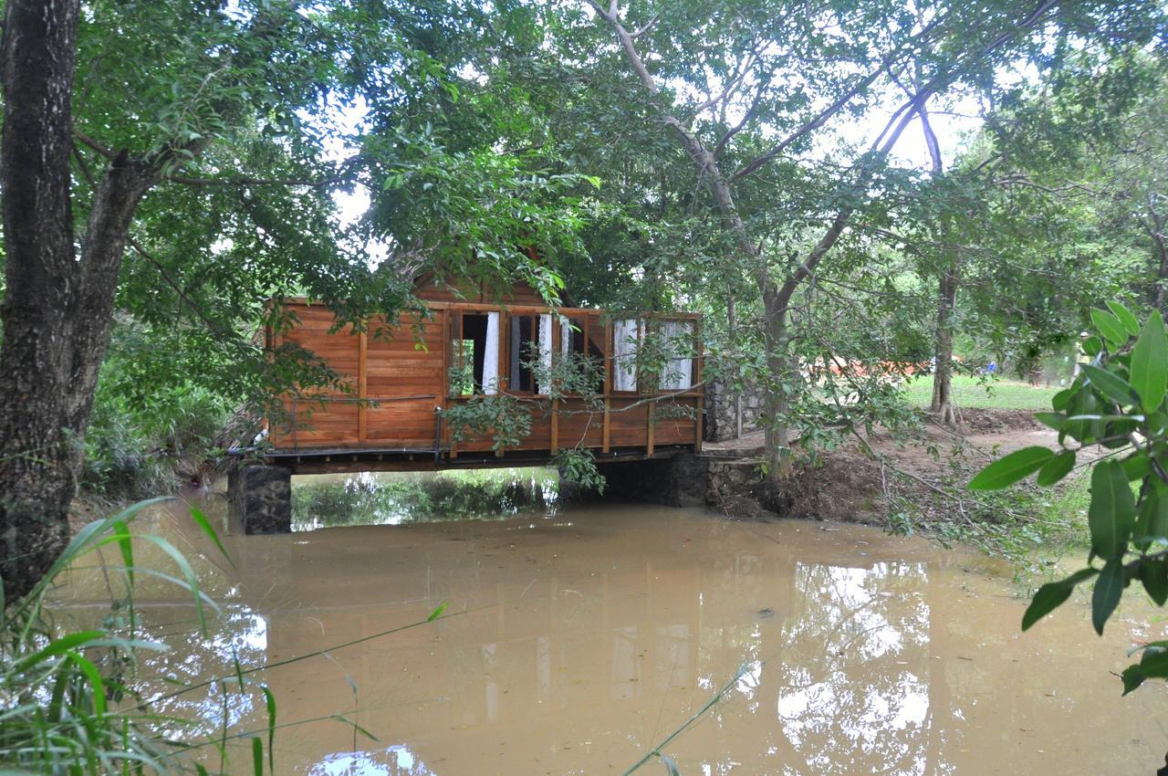 Raintree Villa Dambulla Eksteriør bilde
