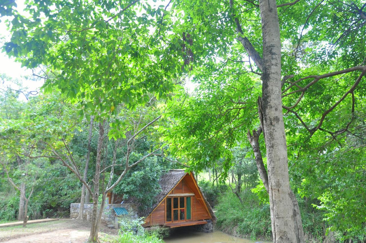 Raintree Villa Dambulla Eksteriør bilde