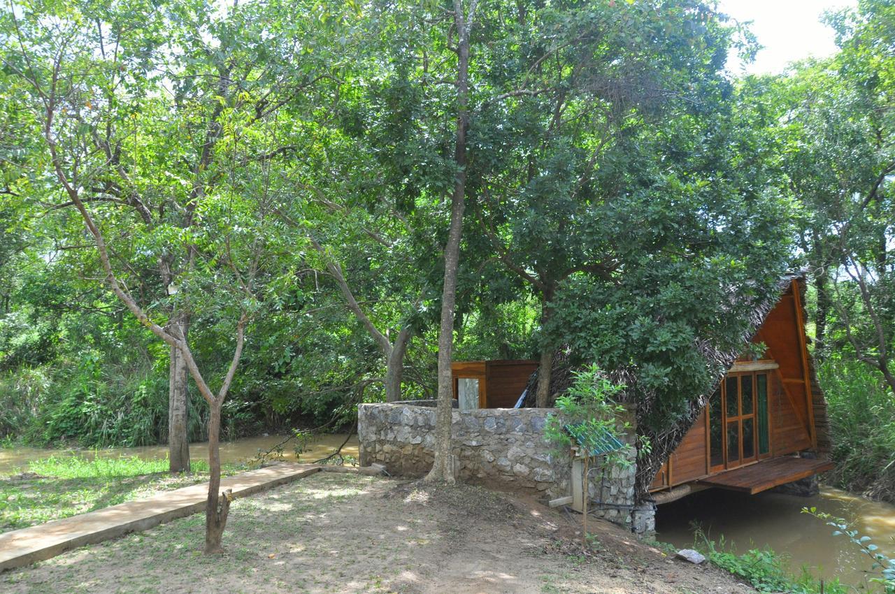 Raintree Villa Dambulla Eksteriør bilde