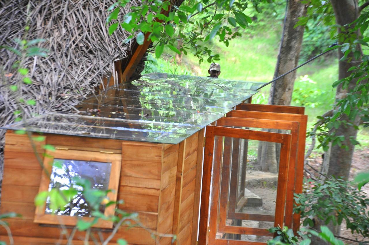 Raintree Villa Dambulla Eksteriør bilde