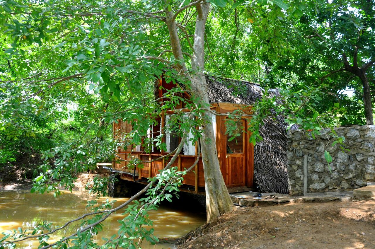 Raintree Villa Dambulla Eksteriør bilde