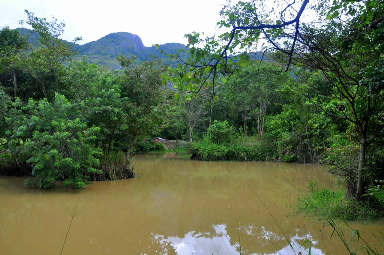 Raintree Villa Dambulla Eksteriør bilde