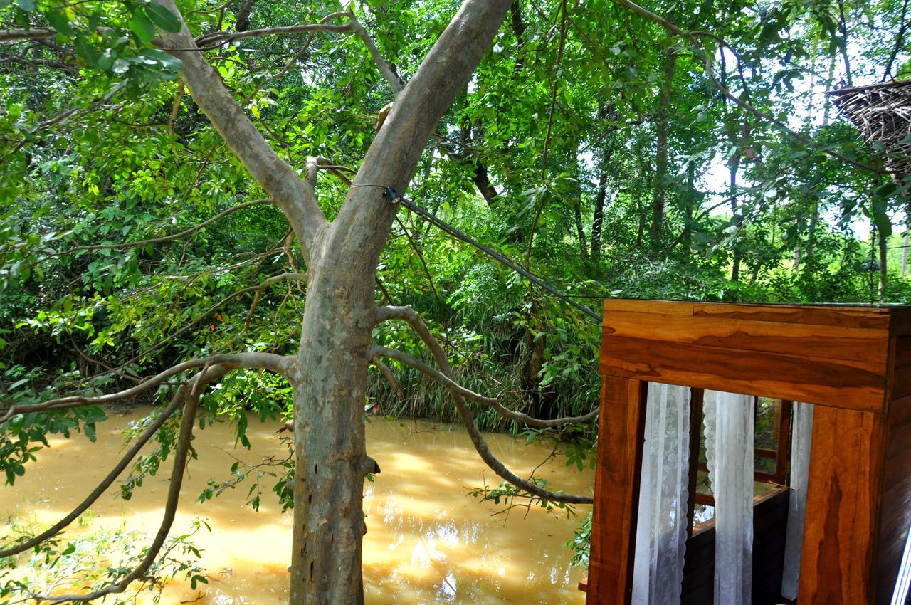 Raintree Villa Dambulla Eksteriør bilde