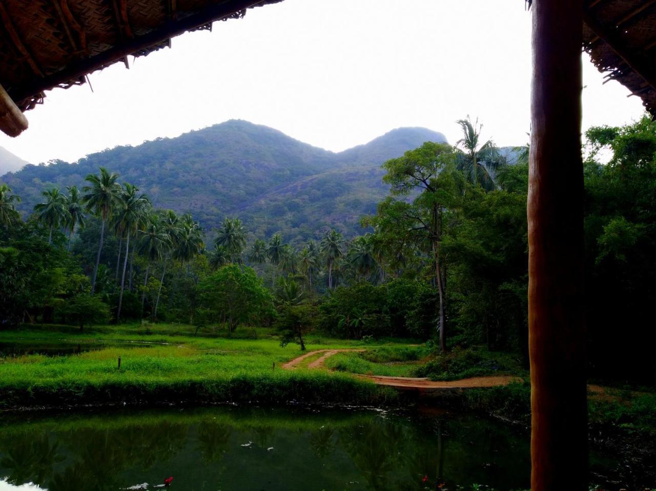 Raintree Villa Dambulla Eksteriør bilde