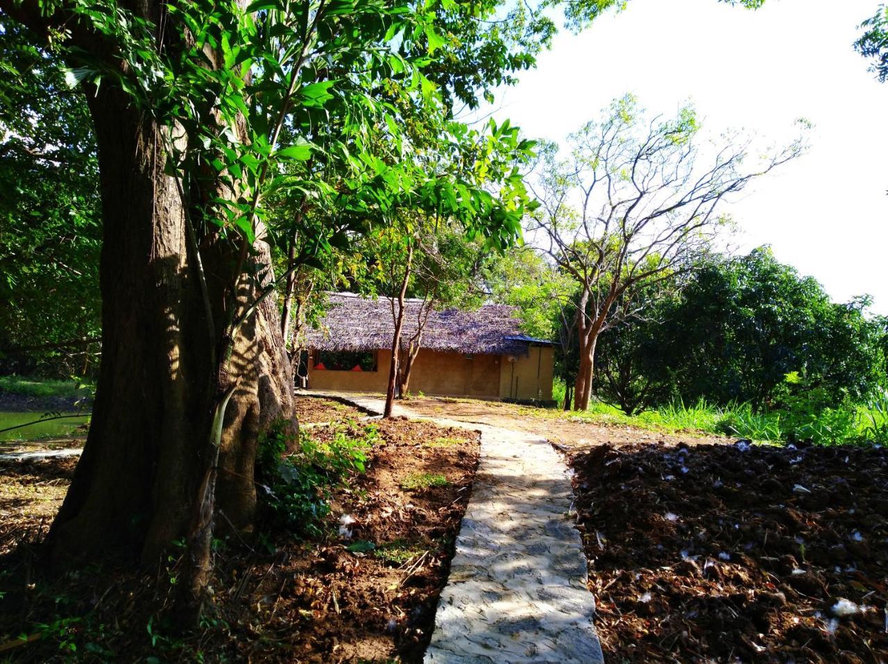 Raintree Villa Dambulla Eksteriør bilde