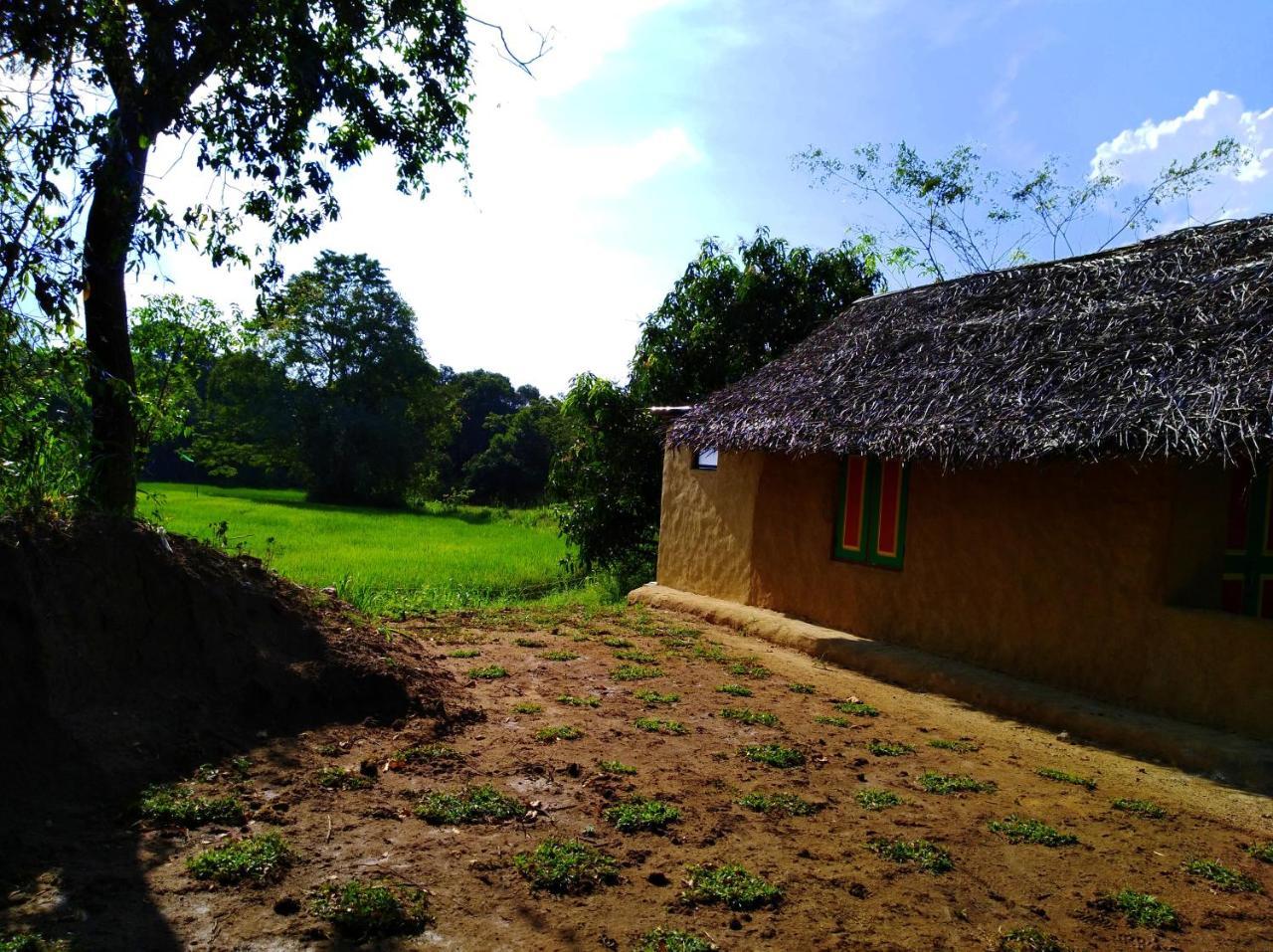 Raintree Villa Dambulla Eksteriør bilde