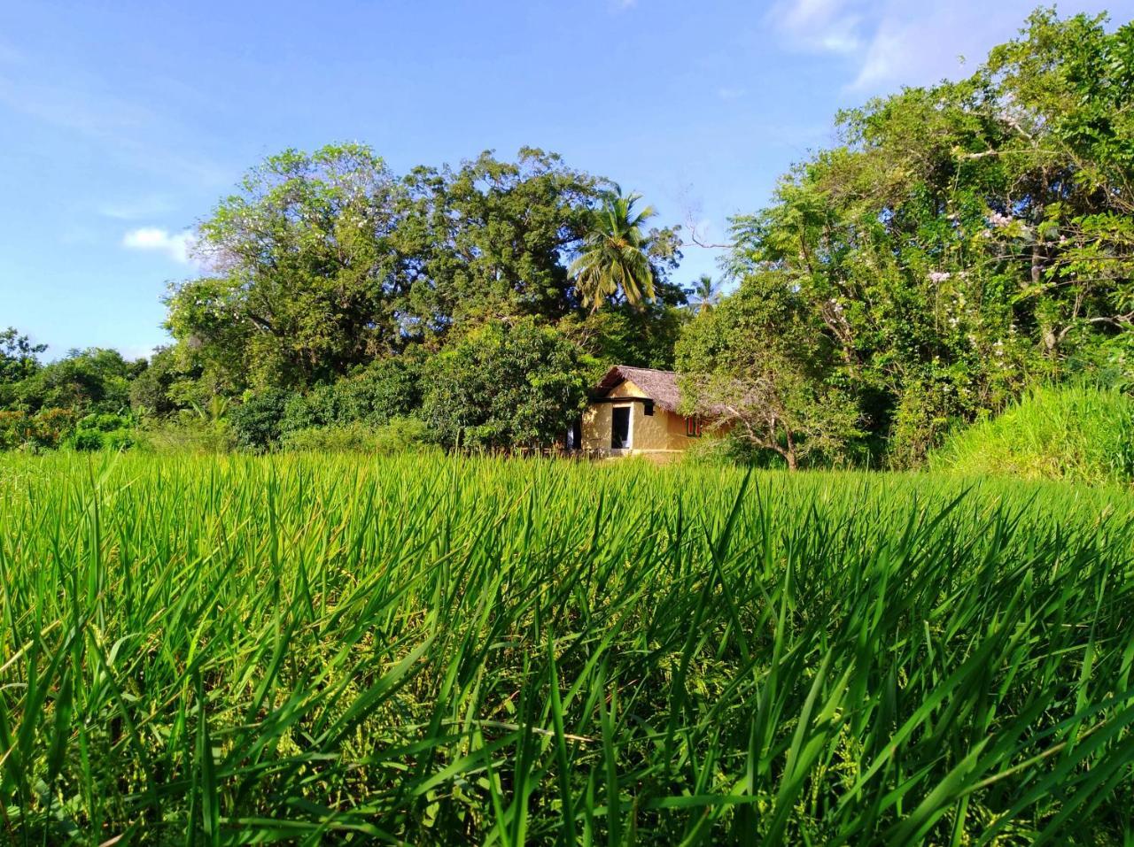Raintree Villa Dambulla Eksteriør bilde