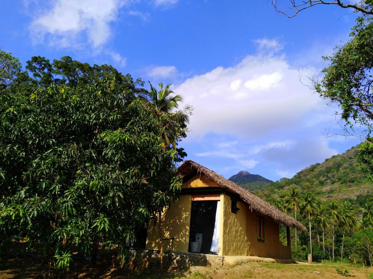 Raintree Villa Dambulla Eksteriør bilde