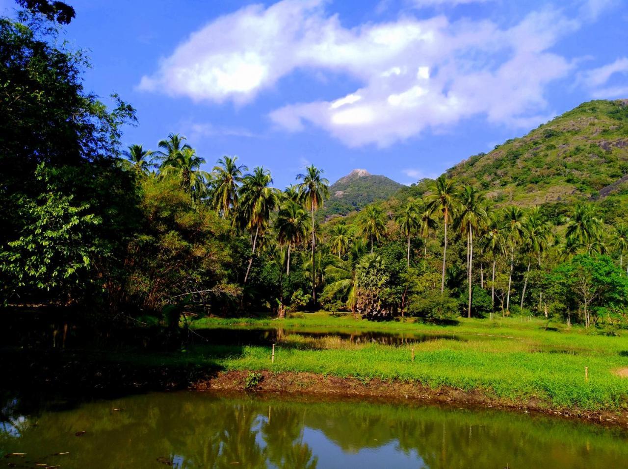 Raintree Villa Dambulla Eksteriør bilde