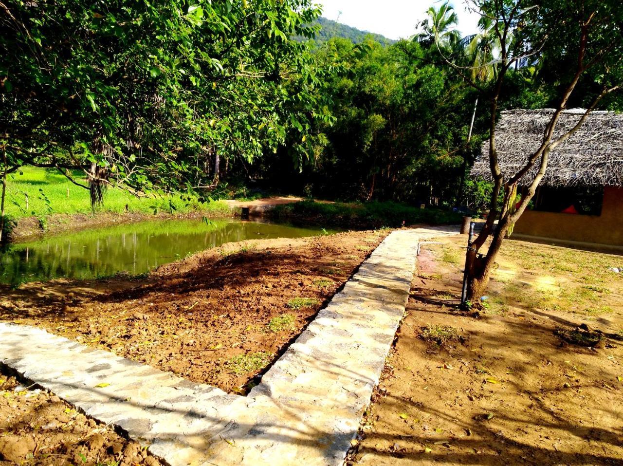 Raintree Villa Dambulla Eksteriør bilde